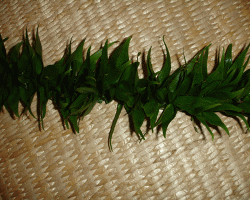 lauae-lei-poo-2.gif