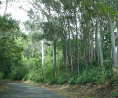 untitled-3.gif